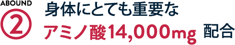 身体にとても重要なアミノ酸 14,000mg配合