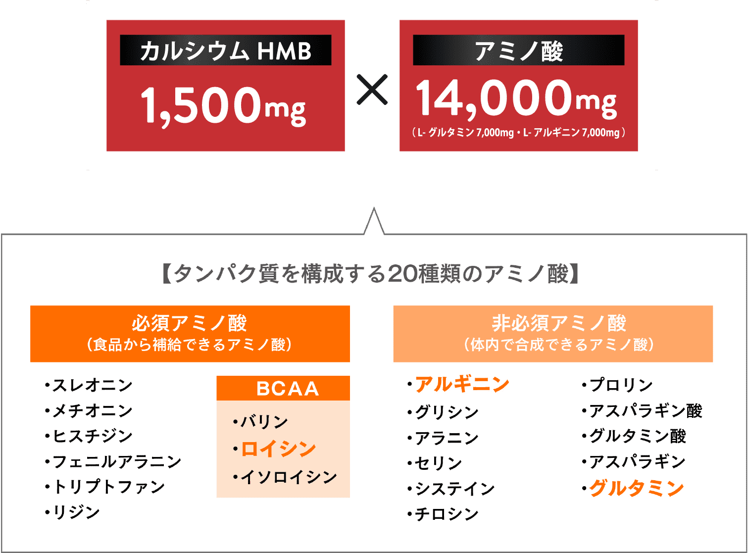 カルシウムHMB 1,500mg アミノ酸 14,000mg 【タンパク質を構成する20種類のアミノ酸】