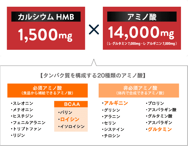 カルシウムHMB 1,500mg アミノ酸 14,000mg 【タンパク質を構成する20種類のアミノ酸】